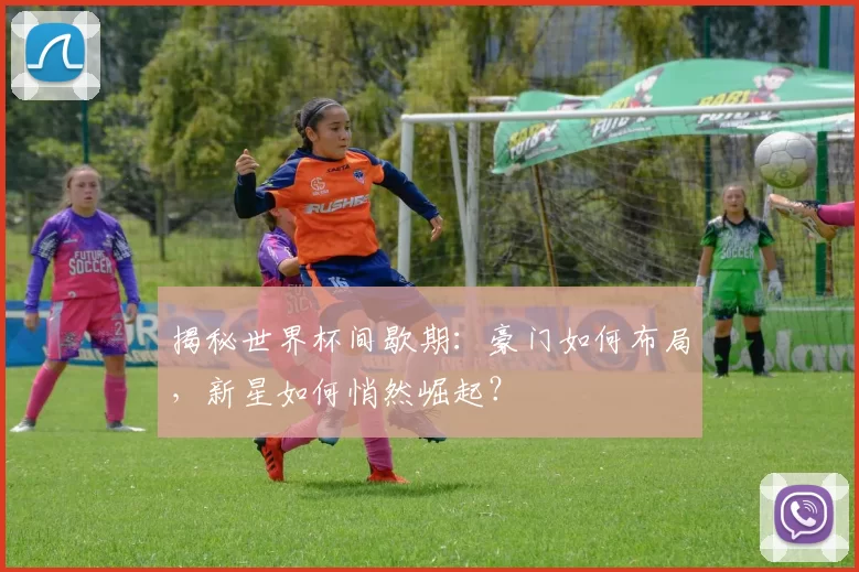 揭秘世界杯间歇期:豪门如何布局,新星如何悄然崛起?