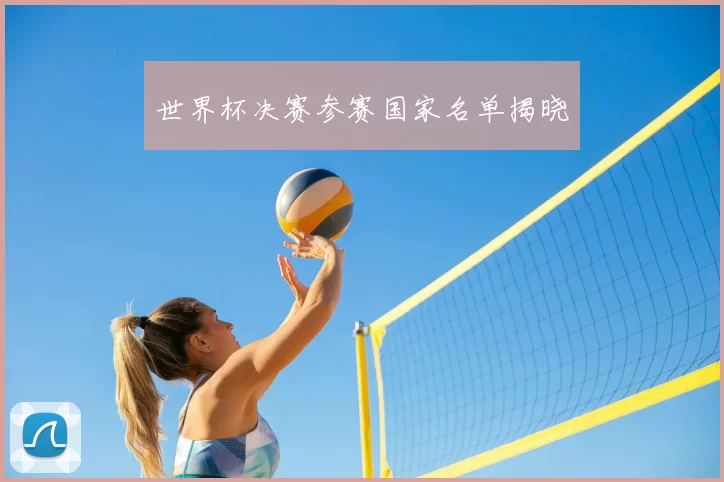 世界杯决赛参赛国家名单揭晓