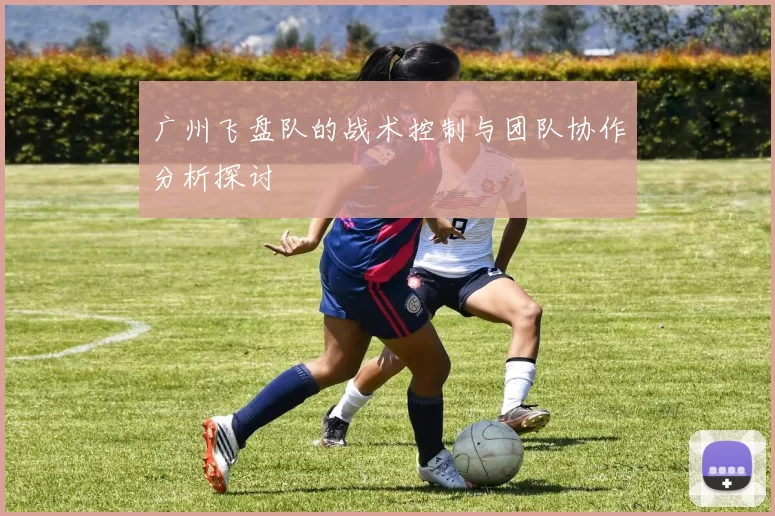 广州飞盘队的战术控制与团队协作分析探讨