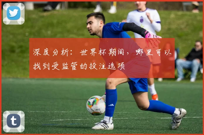 深度分析：世界杯期间，哪里可以找到受监管的投注选项
