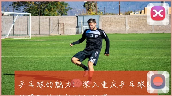 乒乓球的魅力：深入重庆乒乓球队的团队协作与训练故事