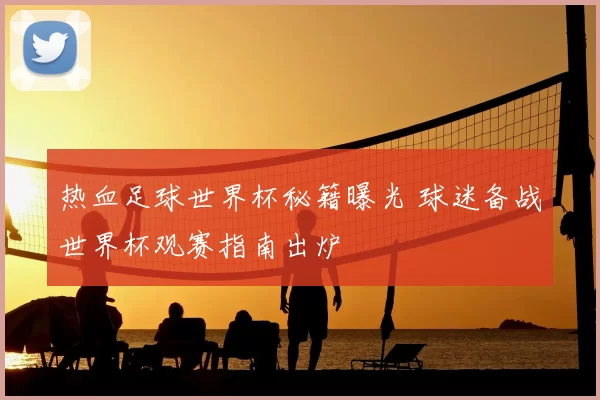 热血足球世界杯秘籍曝光 球迷备战世界杯观赛指南出炉