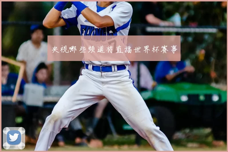 央视哪些频道将直播世界杯赛事