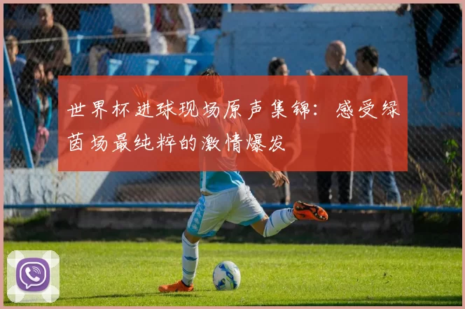 世界杯进球现场原声集锦：感受绿茵场最纯粹的激情爆发