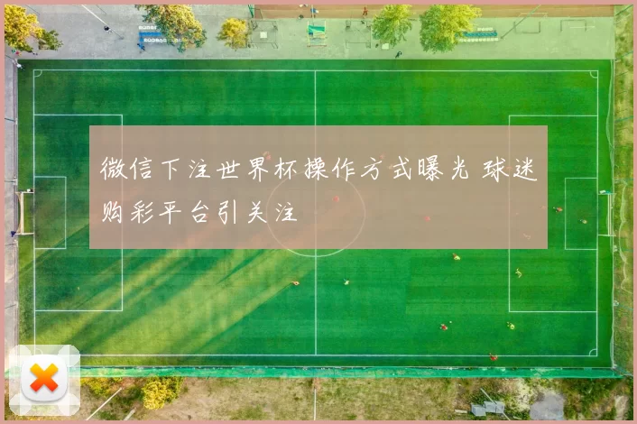 微信下注世界杯操作方式曝光 球迷购彩平台引关注