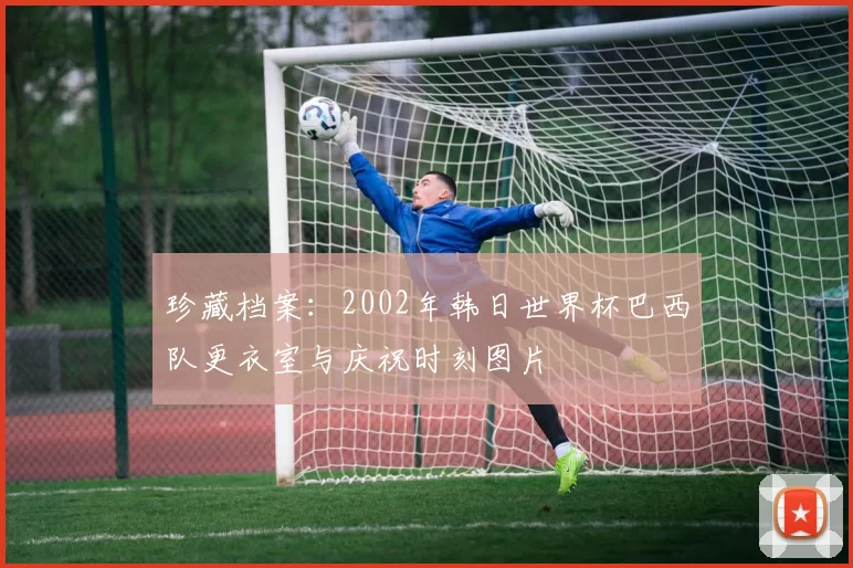 珍藏档案：2002年韩日世界杯巴西队更衣室与庆祝时刻图片