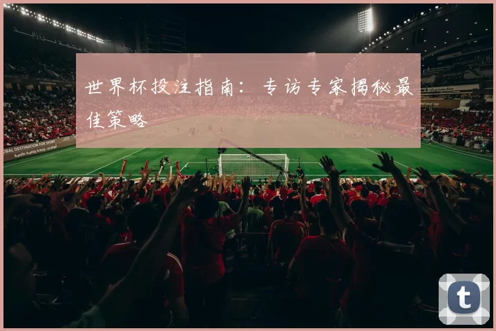 世界杯投注指南:专访专家揭秘最佳策略