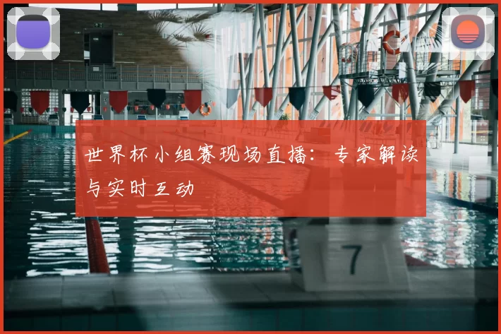世界杯小组赛现场直播：专家解读与实时互动