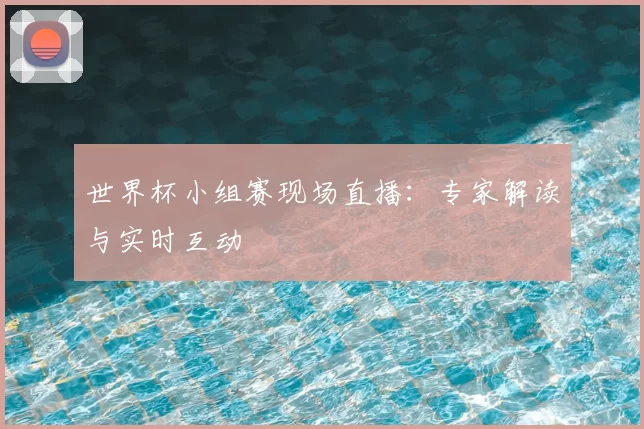 世界杯小组赛现场直播：专家解读与实时互动