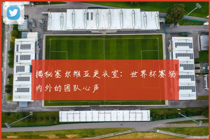 揭秘塞尔维亚更衣室:世界杯赛场内外的团队心声
