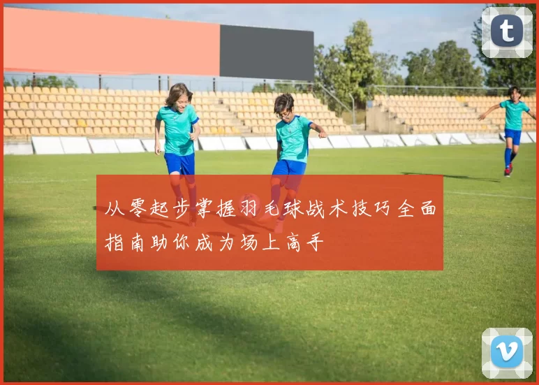 从零起步掌握羽毛球战术技巧全面指南助你成为场上高手