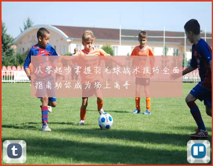 从零起步掌握羽毛球战术技巧全面指南助你成为场上高手