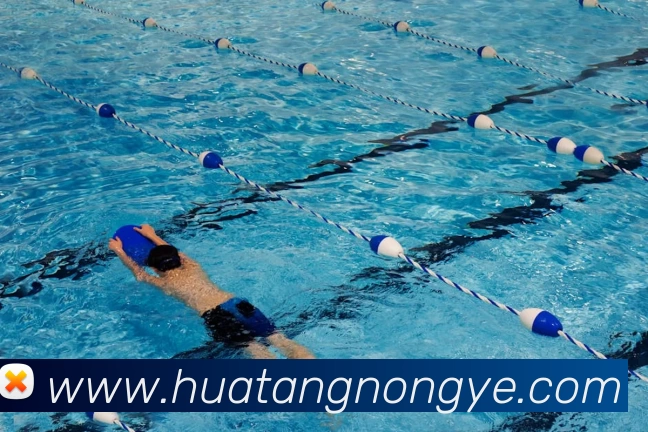 多媒体互动体验