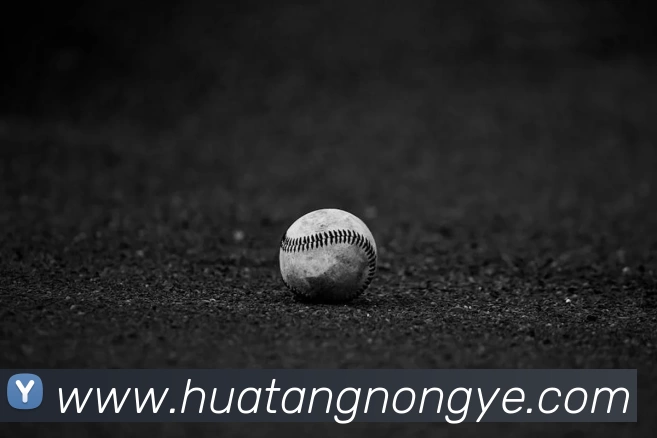 华体APP 体育赛事宣传图